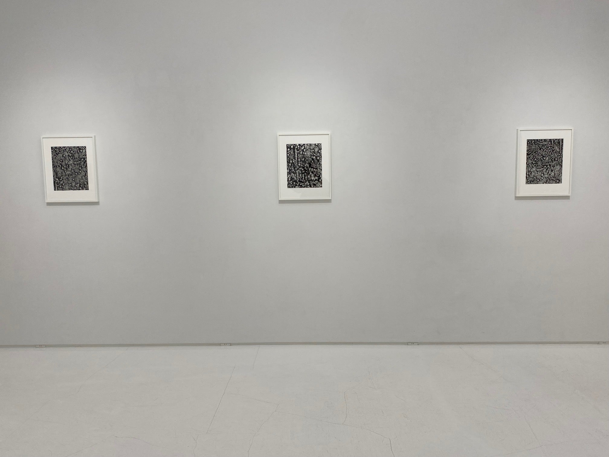 TOMOKO YONEDA – ARTRANDOM