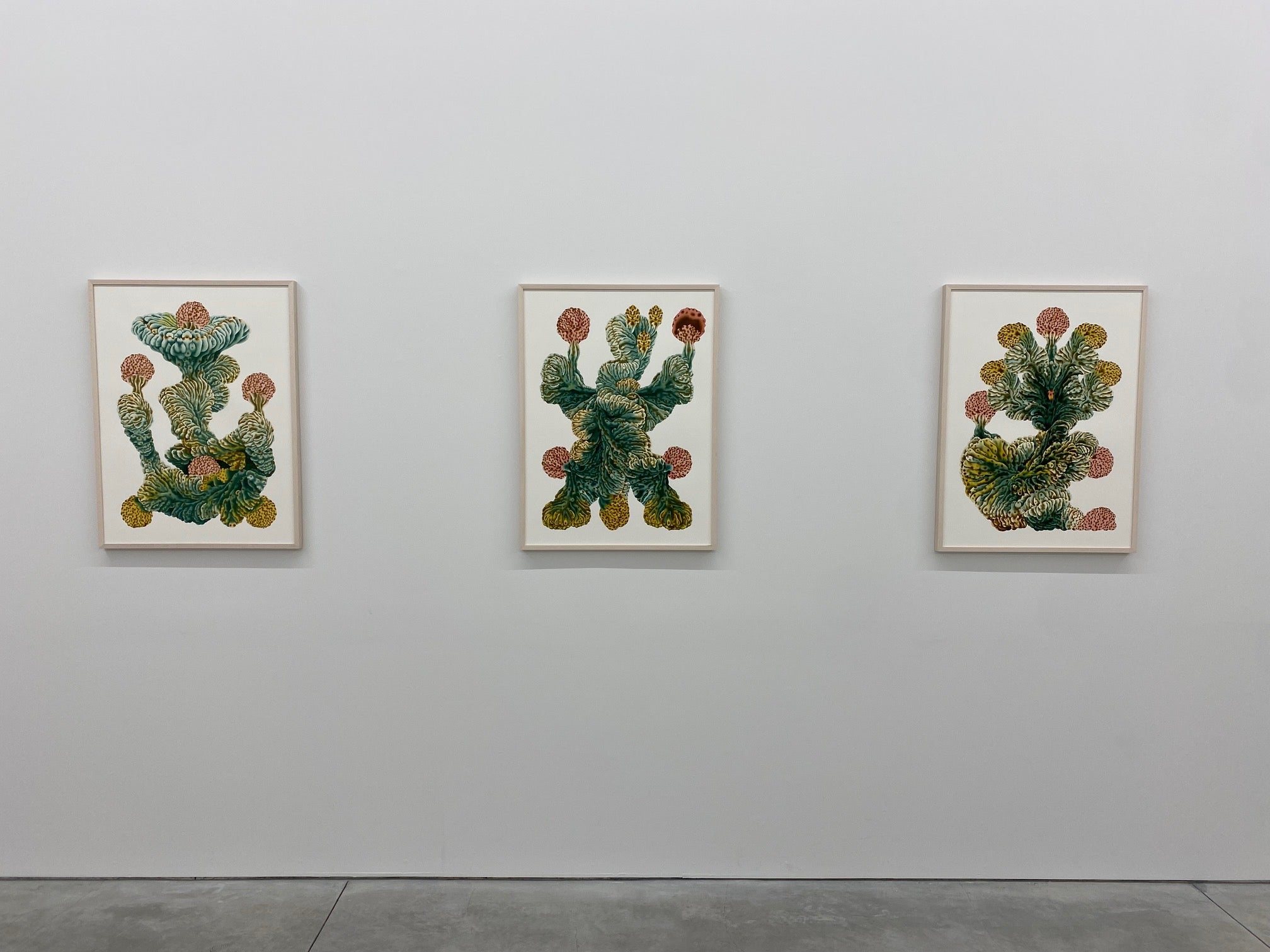 ブラジル アルゼンチン画家 Pablo Matania パブロ・マターニア　絵画 ブラジル アルゼンチン画家 Pablo Matania パブロ・マターニア