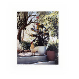 SAM TAYLOR WOOD PHOTO BOOK