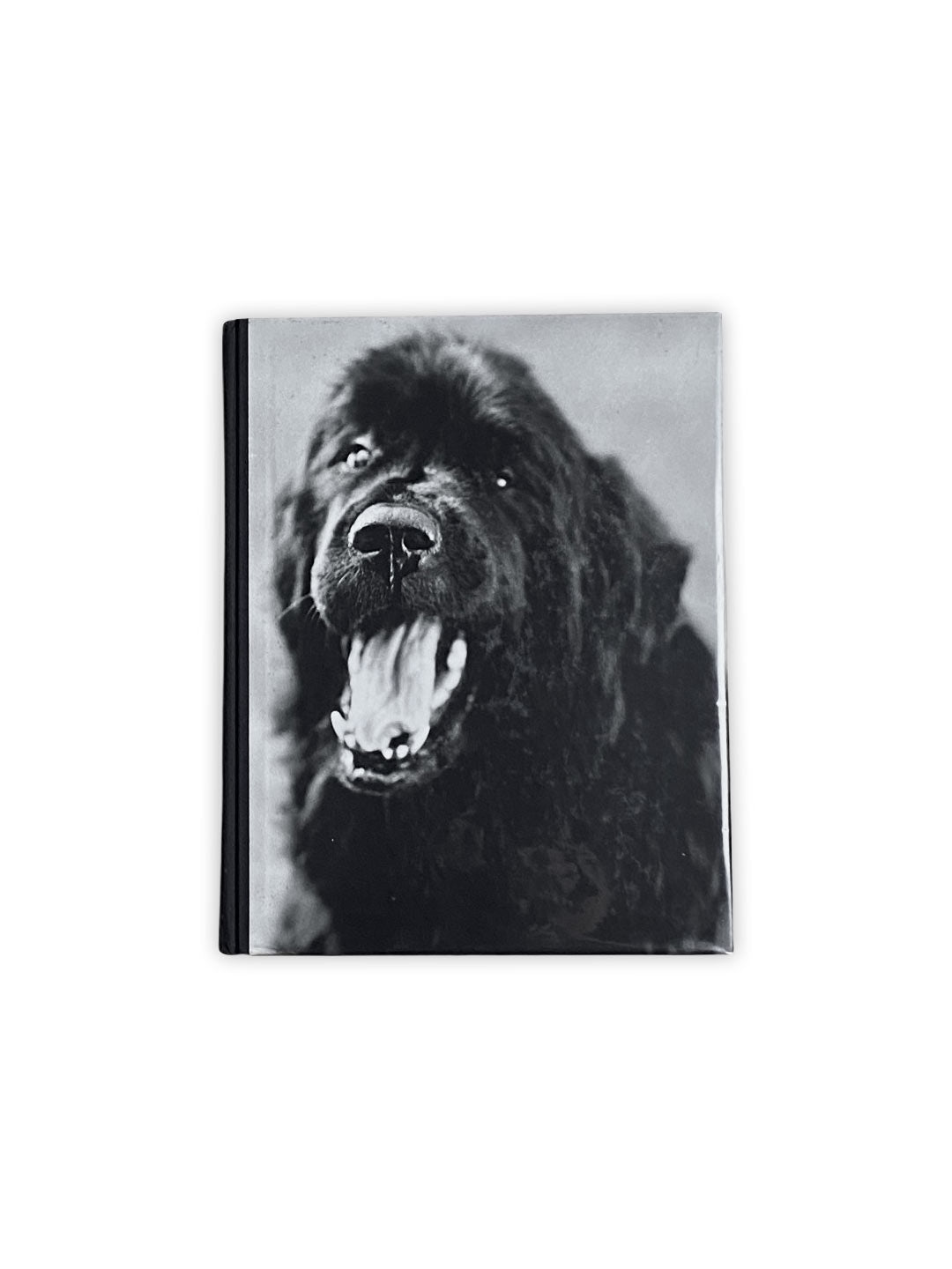 GENTLE GIANTS BY BRUCE WEBER – ARTRANDOM