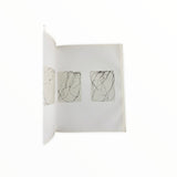 BRICE MARDEN CATALOGUE