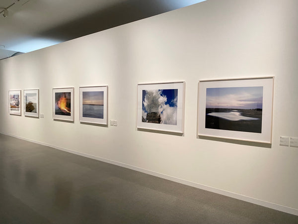 COLLECTION GALLERY EXHIBITION 2024