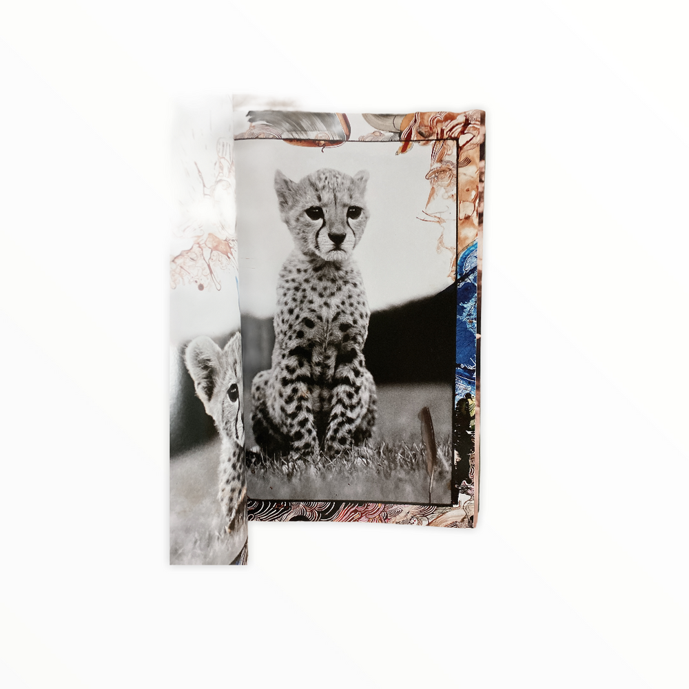 PETER BEARD BY TASCHEN – ARTRANDOM