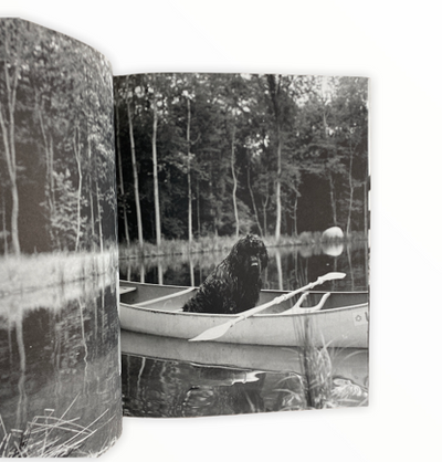 GENTLE GIANTS BY BRUCE WEBER – ARTRANDOM GENTLE GIANTS BY BRUCE WEBER – ARTRANDOM